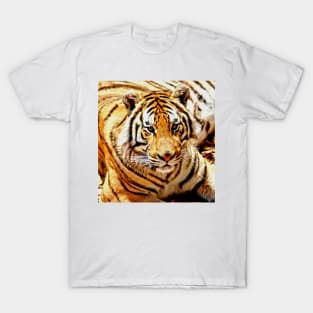 Bengal Tiger T-Shirt